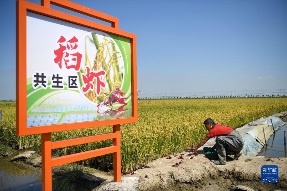 澳门明升网址平台