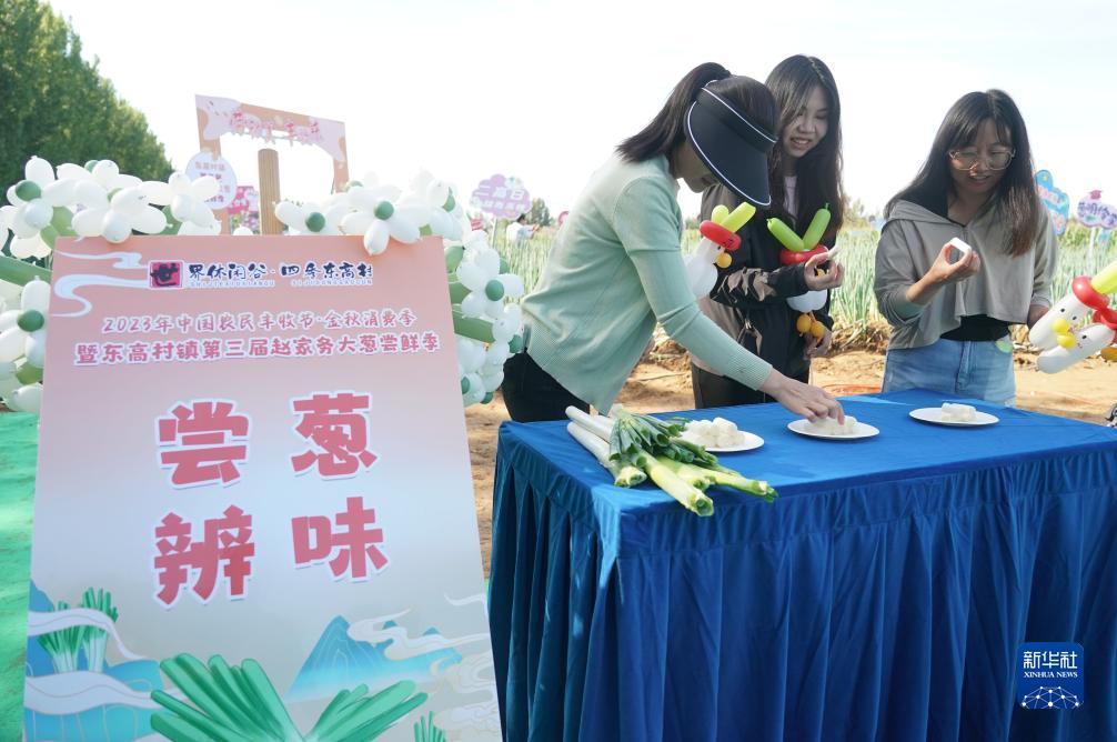 皇冠手机登录地址2